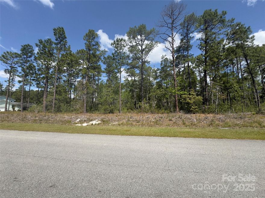 Build Your Dream Coastal Getaway!
169 Windemere Dr | Boiling Spring Lakes | Southport, NC | 0.40 Acres

Located in the peaceful Boiling Spring Lakes community, this wooded .40-acre lot offers the perfect setting to build your custom coastal home. Enjoy the charm of Southport, just minutes away, with convenient access to Oak Island beaches, historic downtown Southport, and a short drive to Wilmington.

This is a raw, undeveloped lot—no well, septic, survey, or soil testing has been completed. However, county water is available, and electric, telephone, and internet utilities are accessible on or near the property. A soil test will be needed for septic installation.  Property is located within the Red-Cockaded Woodpecker ‘Green Zone’ — outside of known clusters and foraging areas.

Don’t miss your chance to create a custom retreat in one of Brunswick County’s most desirable coastal communities!