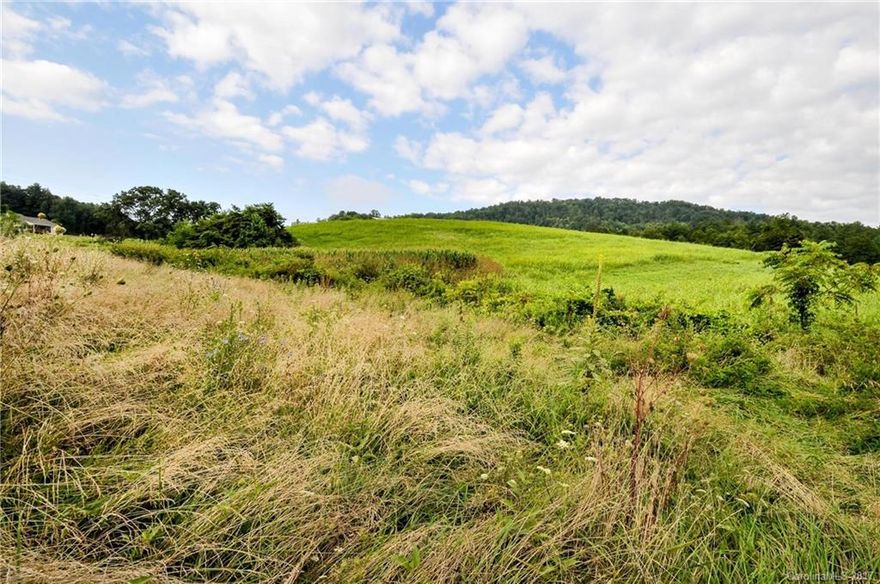 Beautiful fertile valley with 1300+ ft of creek frontage on northern border. Several excellent elevated home sites with two access options (paved frontage on Holcombe Branch & gravel state rd frontage behind). Acres of flat pasture suitable for grazing, row crops, gardening and more.  It's a rare opportunity to find such flat and open space in our forested mountains.  All just 20 min from Asheville. Vacant land only, appointment required. DO NOT approach the homes, they are not part of the sale.