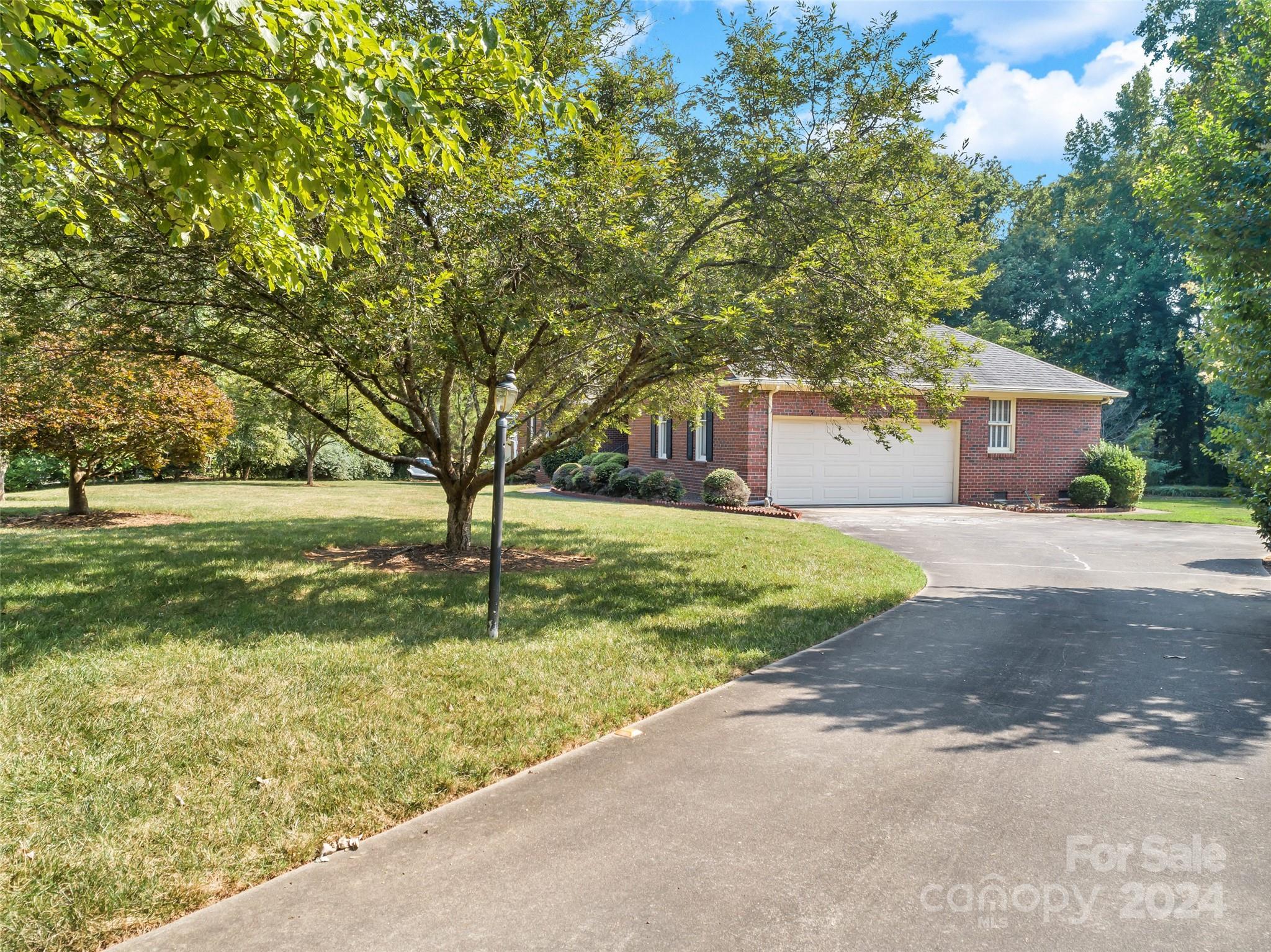 Wood Forest - Residential