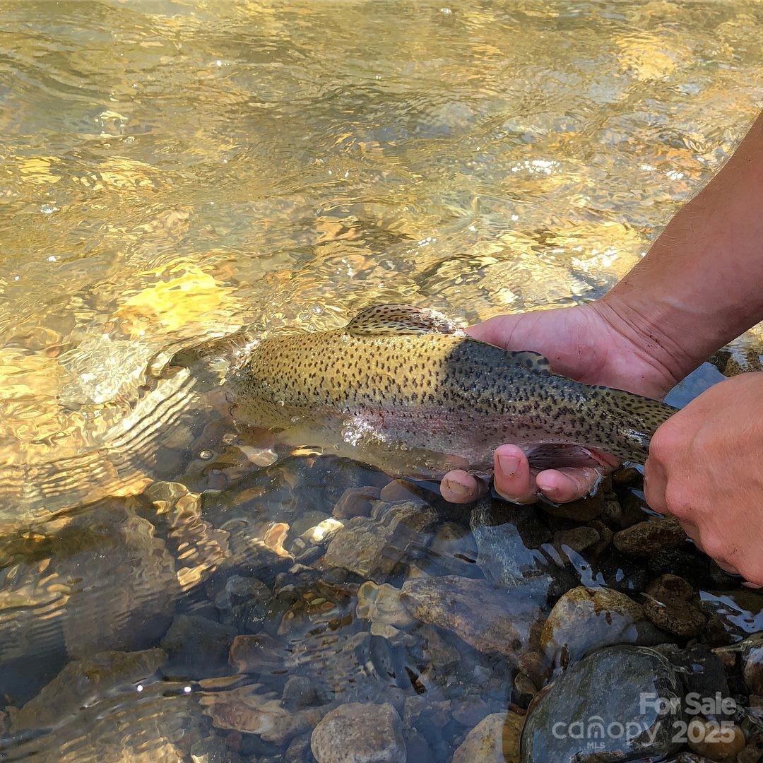 000 Pumpkin Patch Road