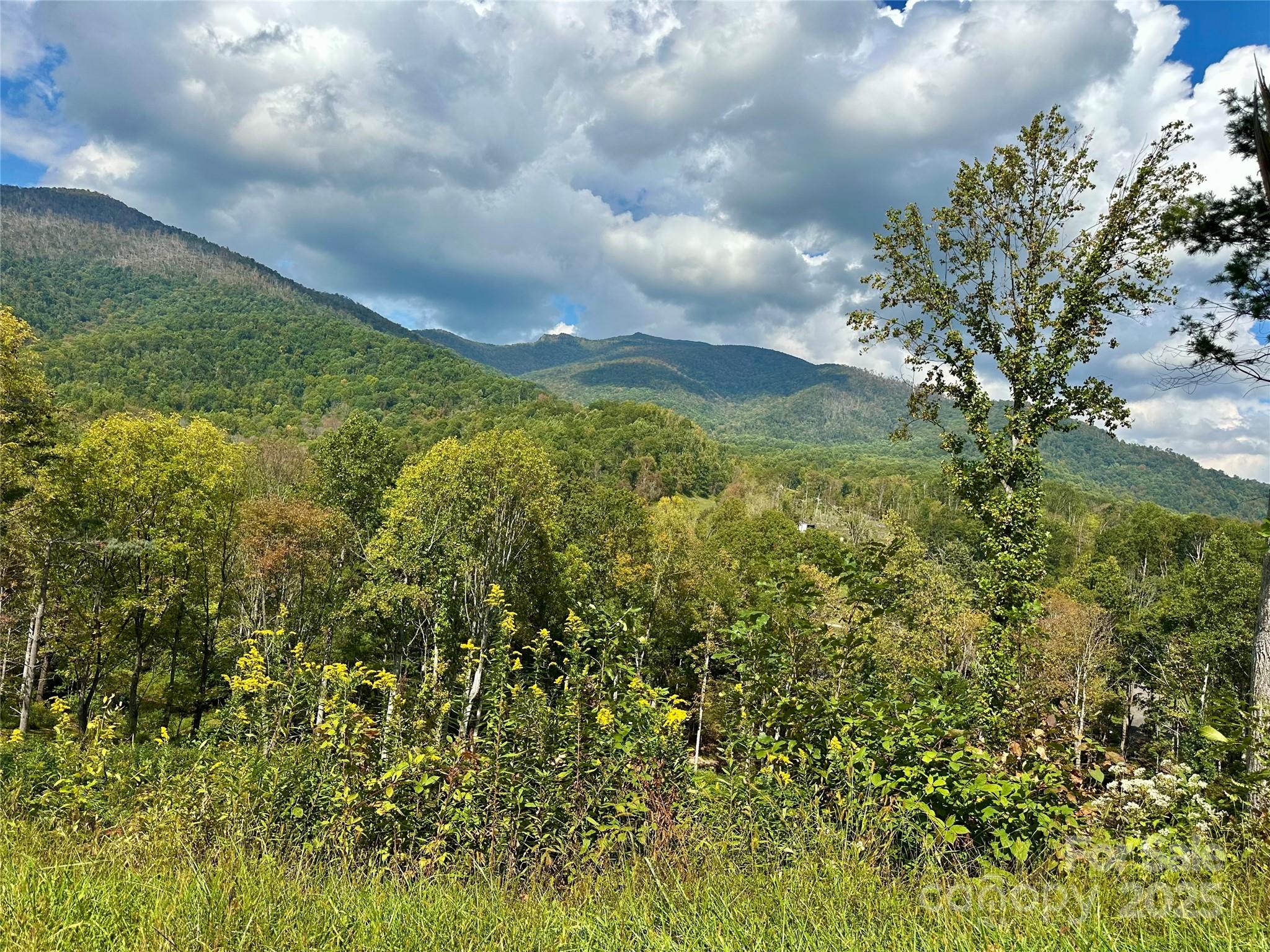 000 Pumpkin Patch Road