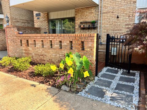 4736 Hedgemore Drive Charlotte NC 28209