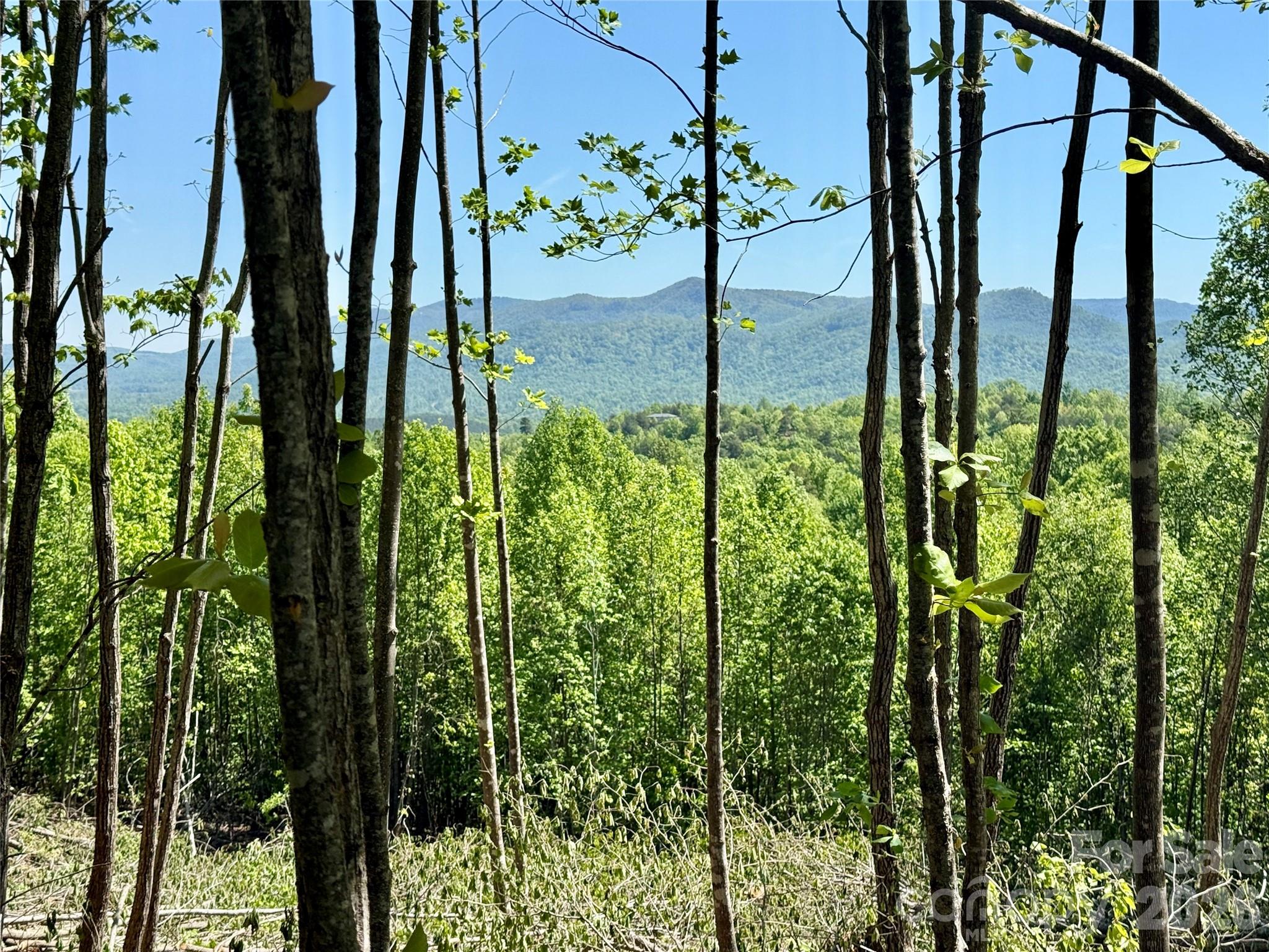 Grandview Peaks - Land