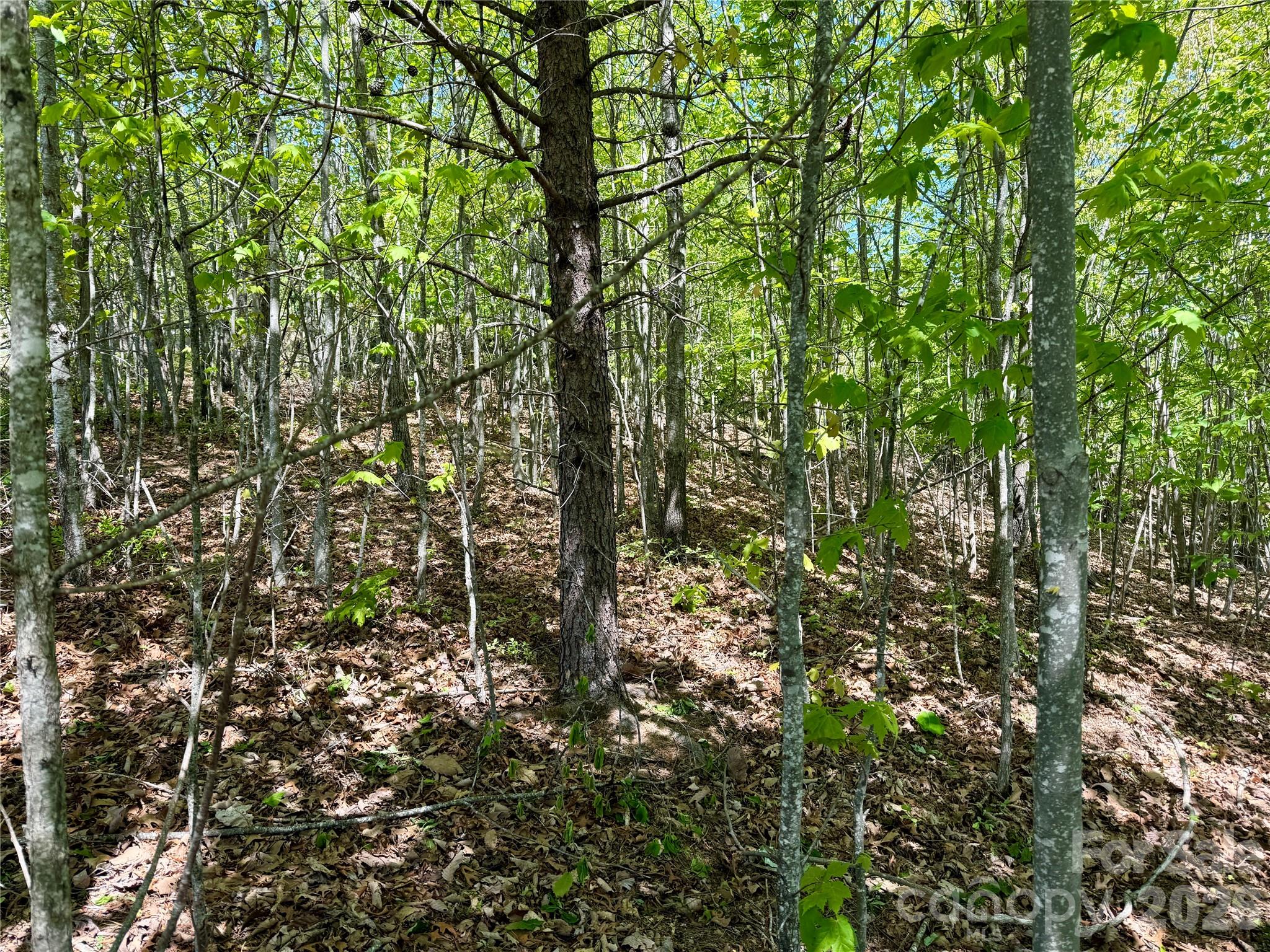 Grandview Peaks - Land