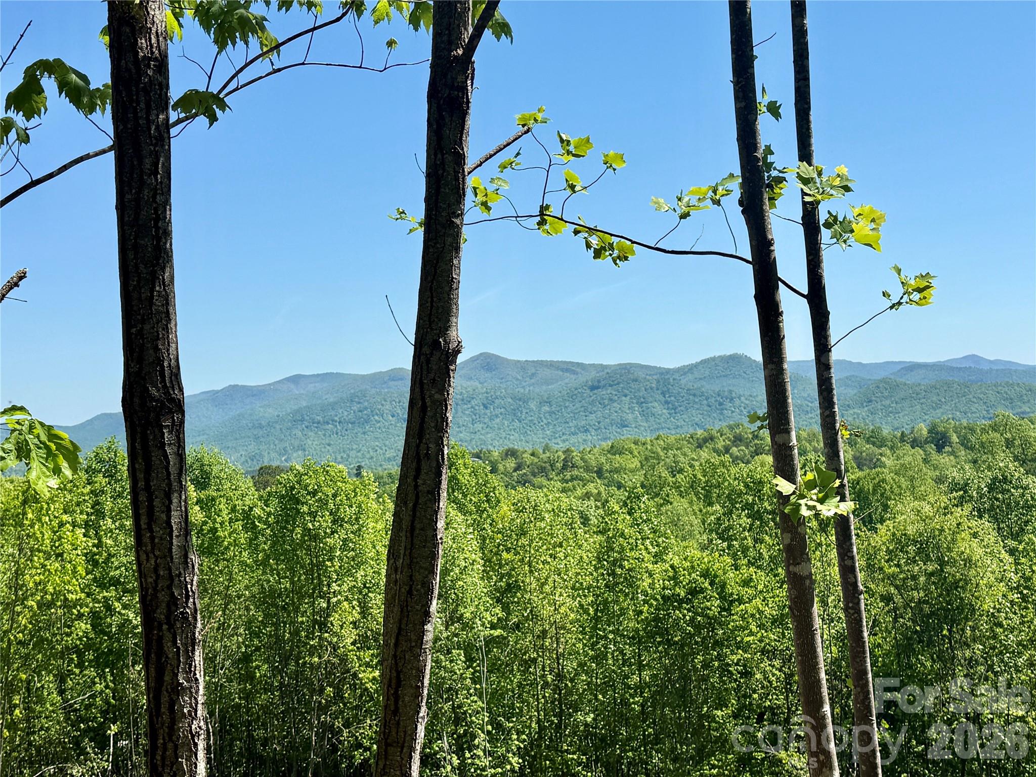 Grandview Peaks - Land