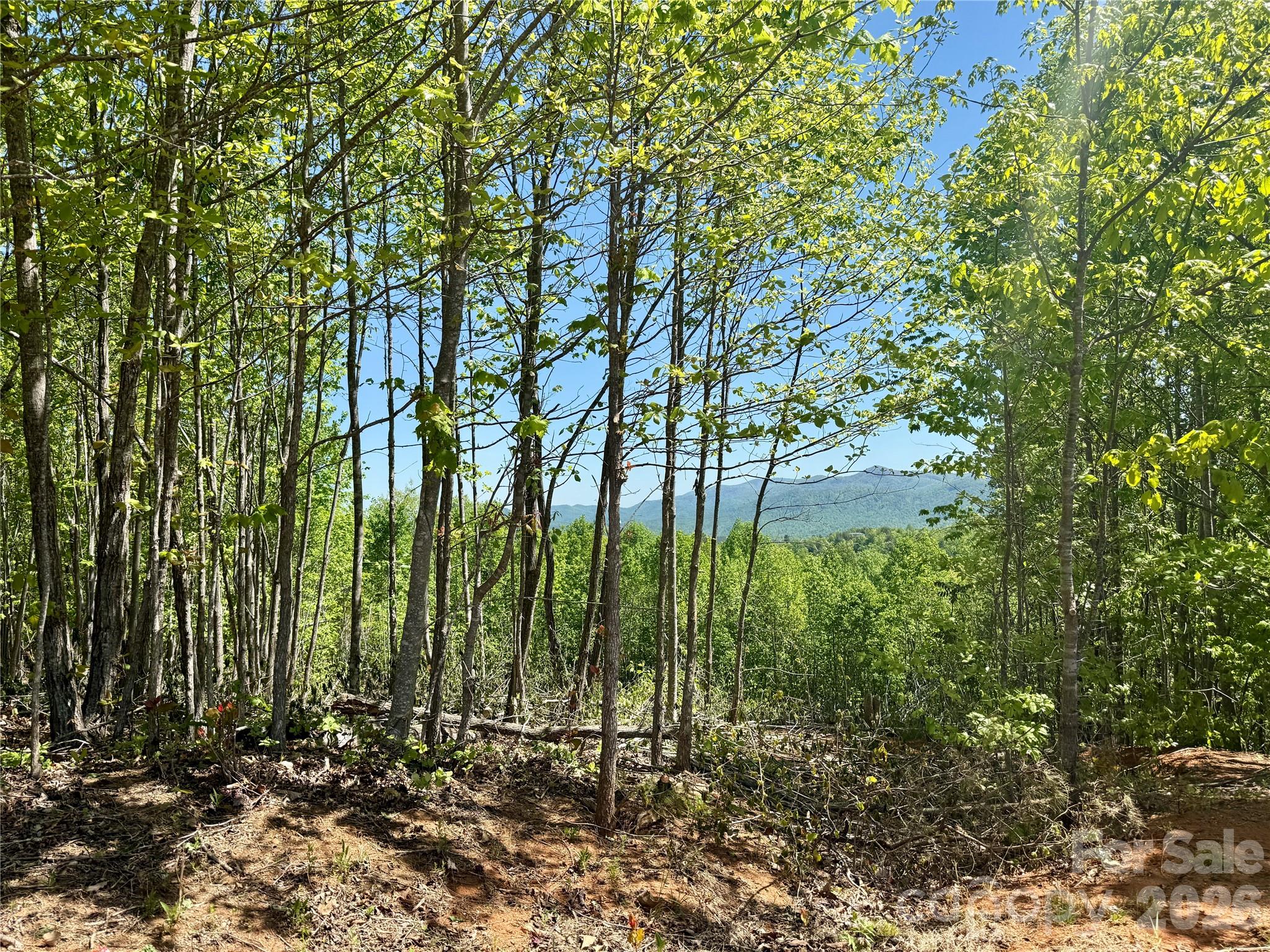 Grandview Peaks - Land