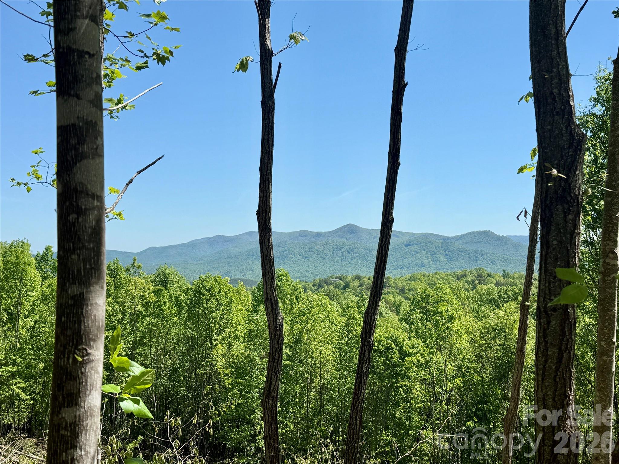 Grandview Peaks - Land