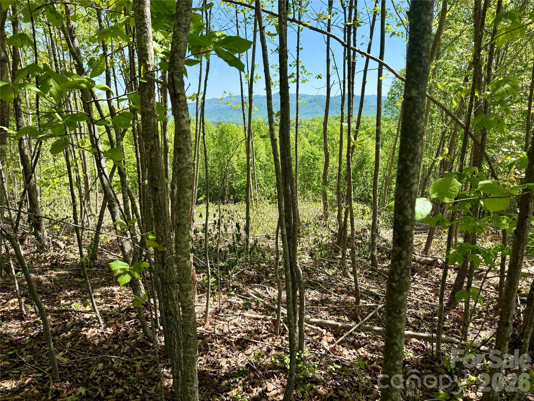 Grandview Peaks - Land