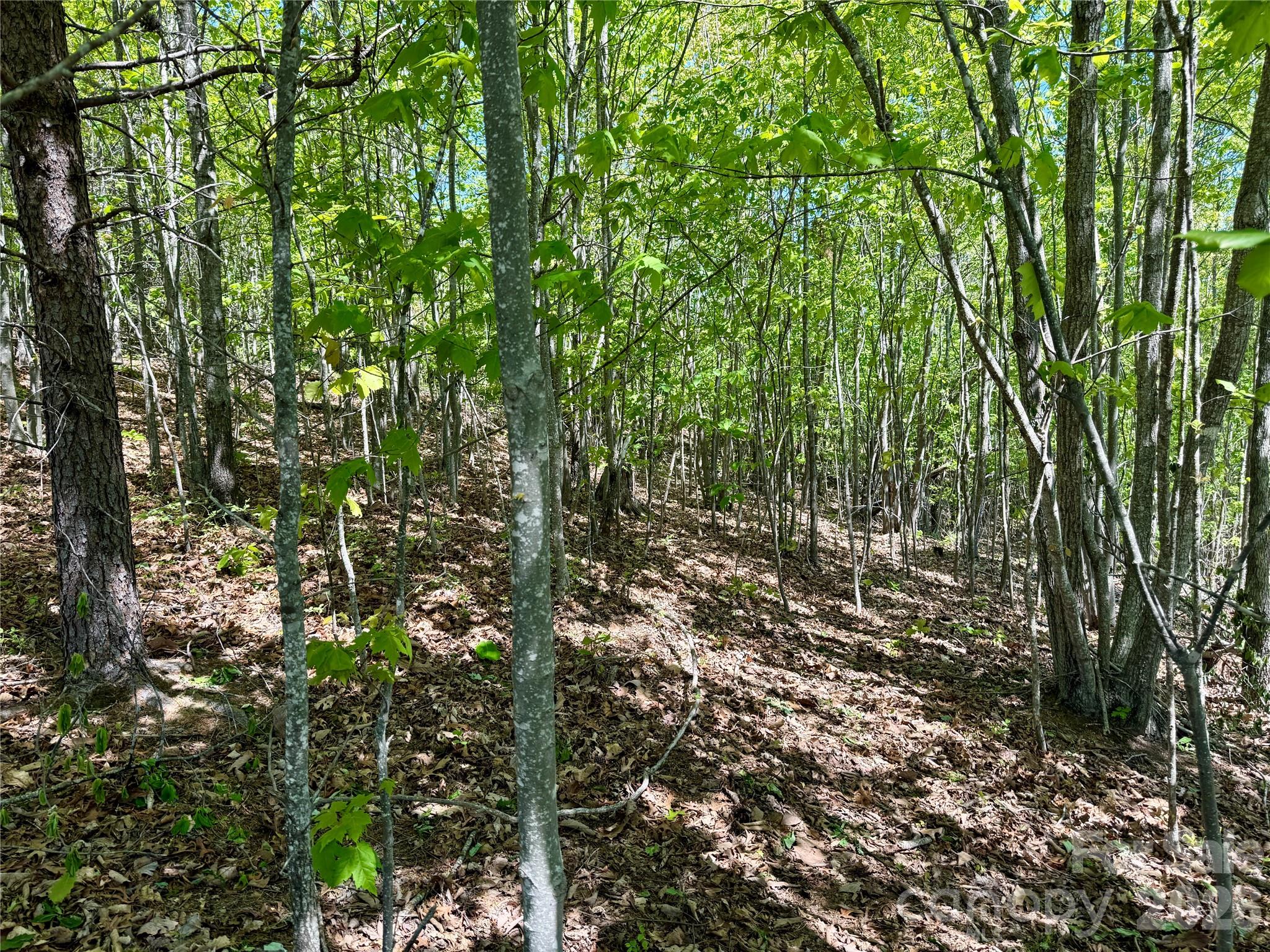 Grandview Peaks - Land