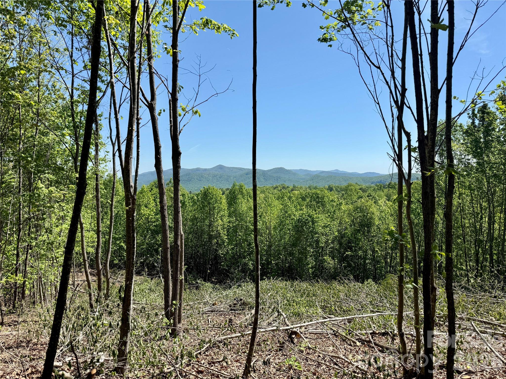 Grandview Peaks - Land