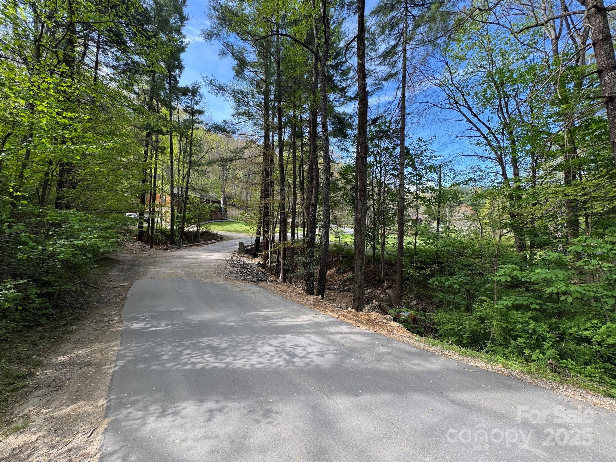 Chestnut Walk - Land