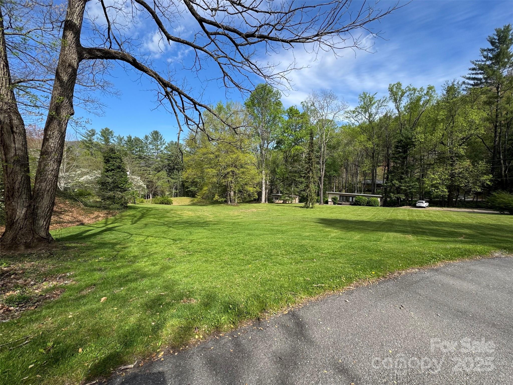 Chestnut Walk - Land