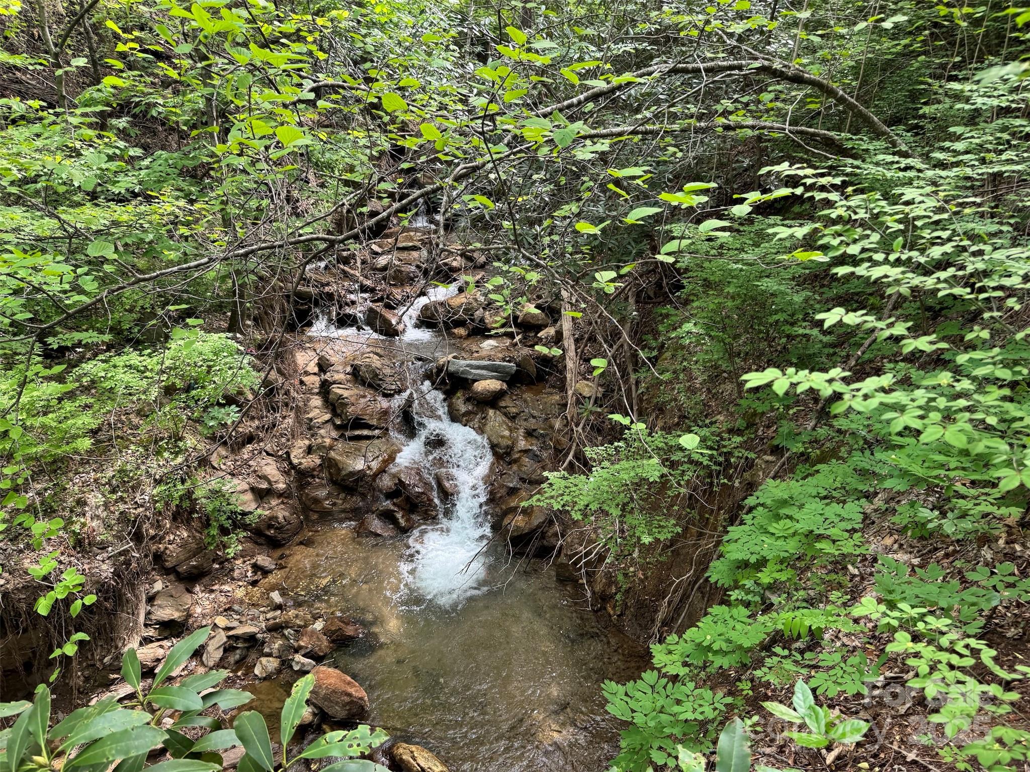 Chestnut Walk - Land