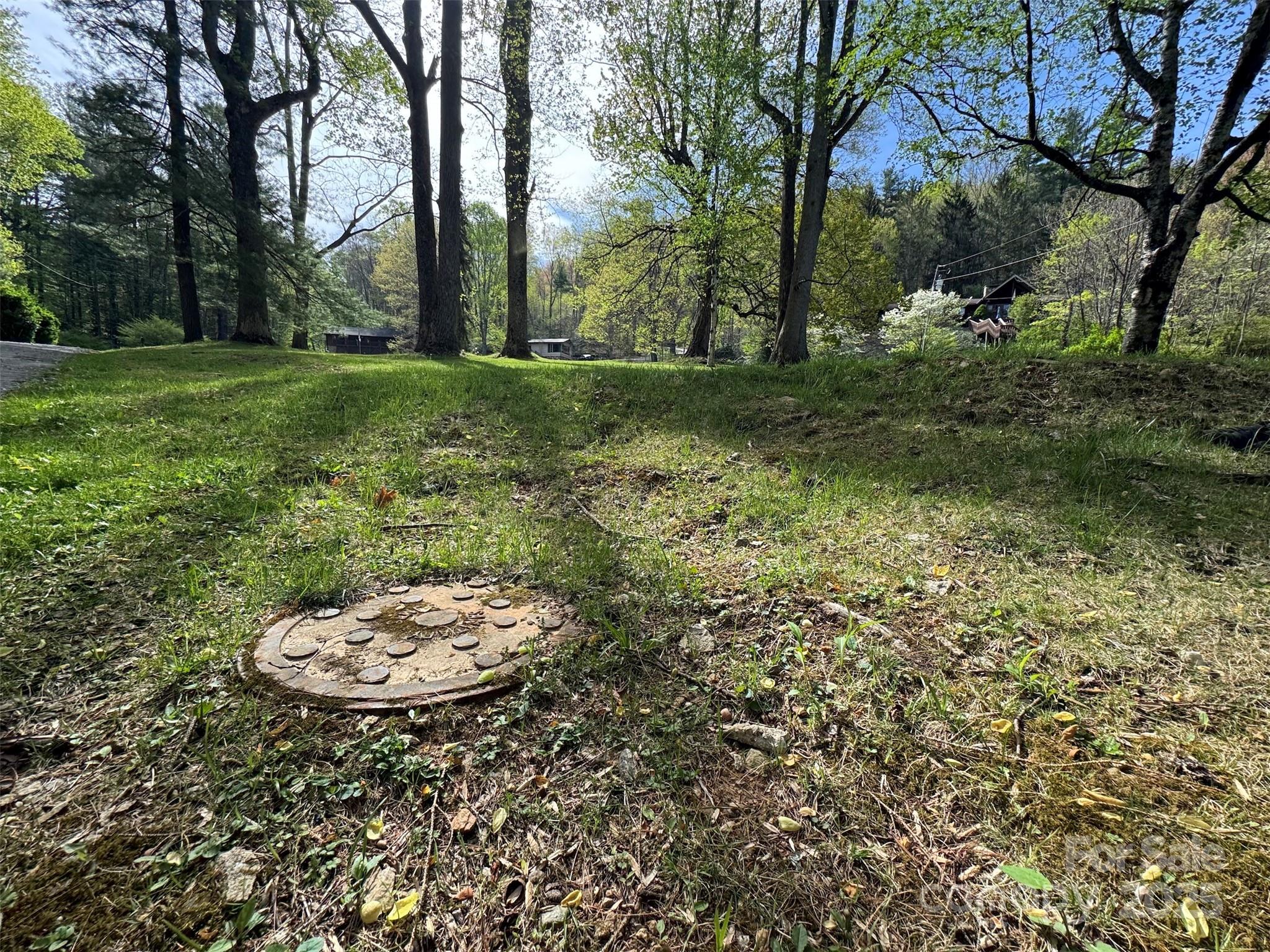 Chestnut Walk - Land