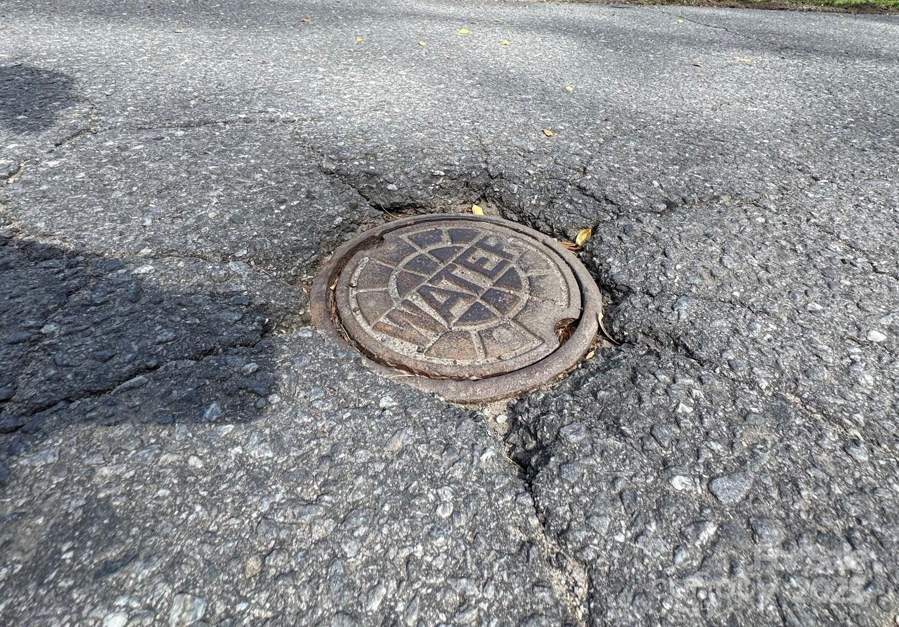 Chestnut Walk - Land