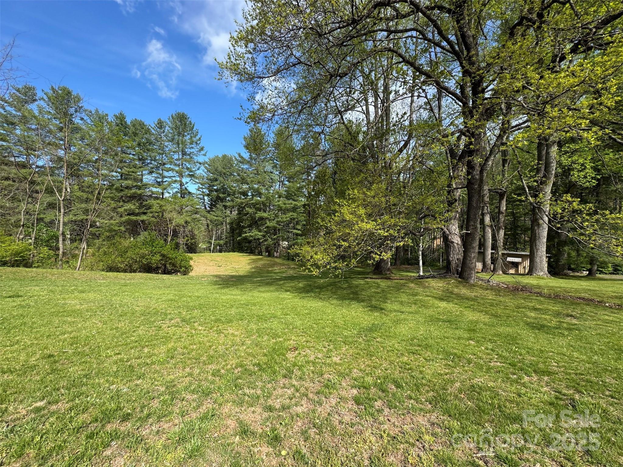 Chestnut Walk - Land