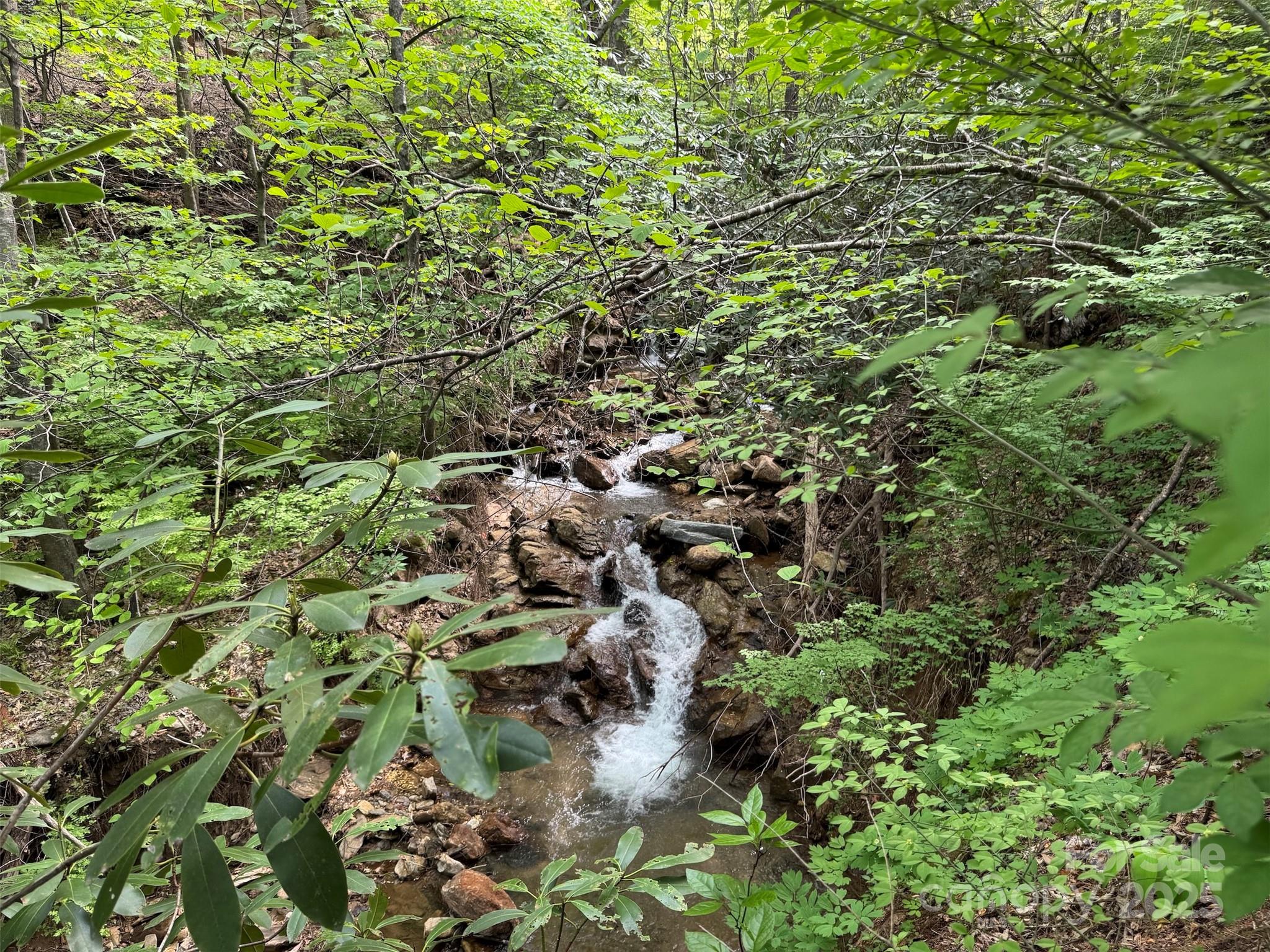 Chestnut Walk - Land