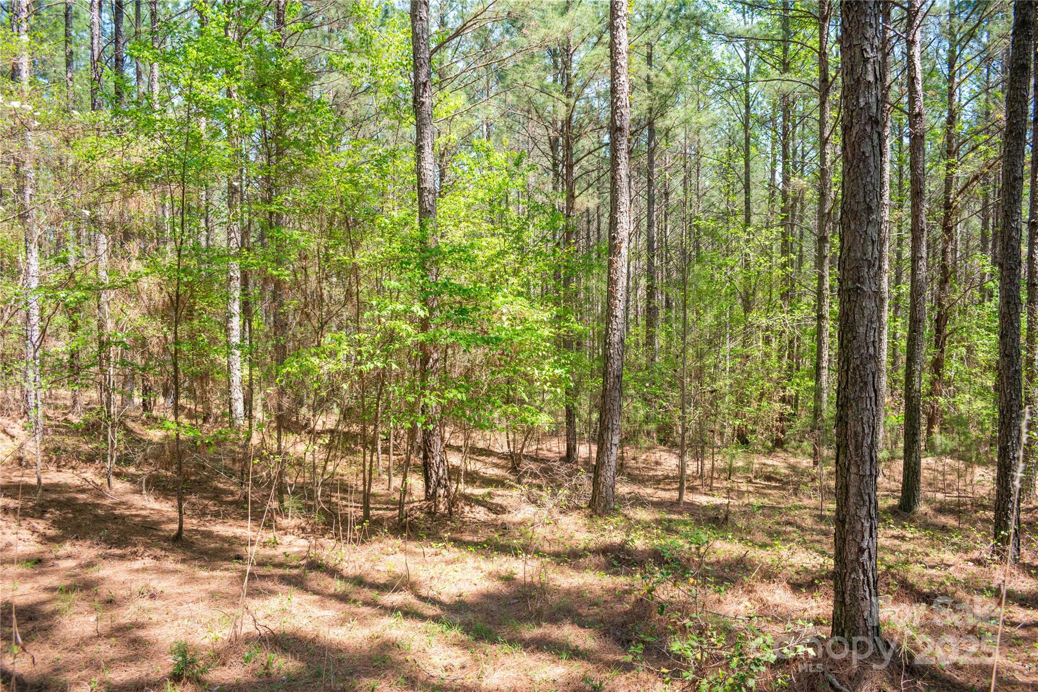 Broad River Highlands - Land