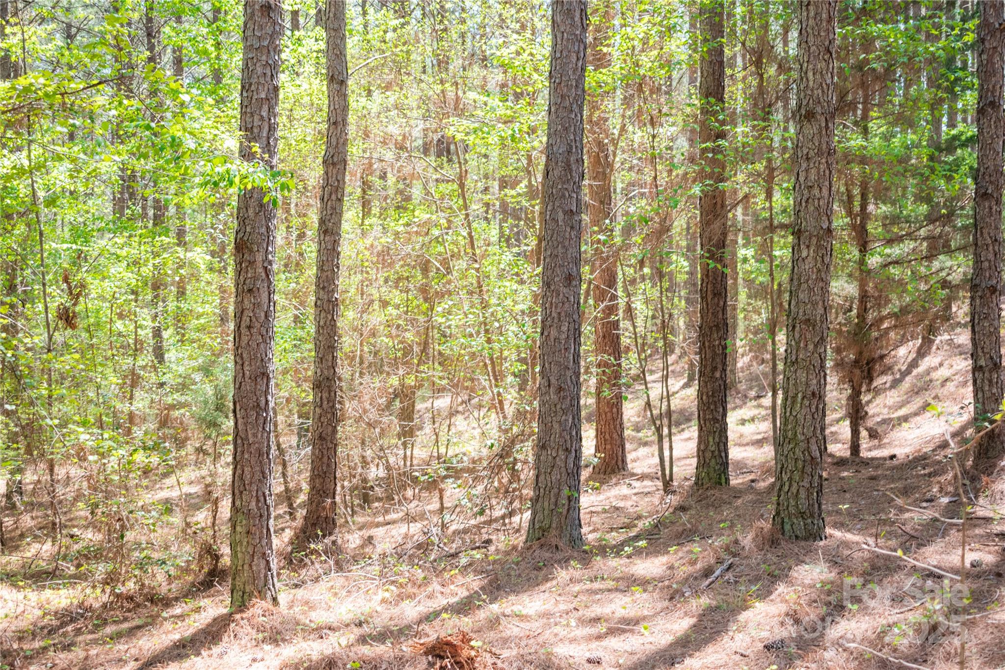 Broad River Highlands - Land