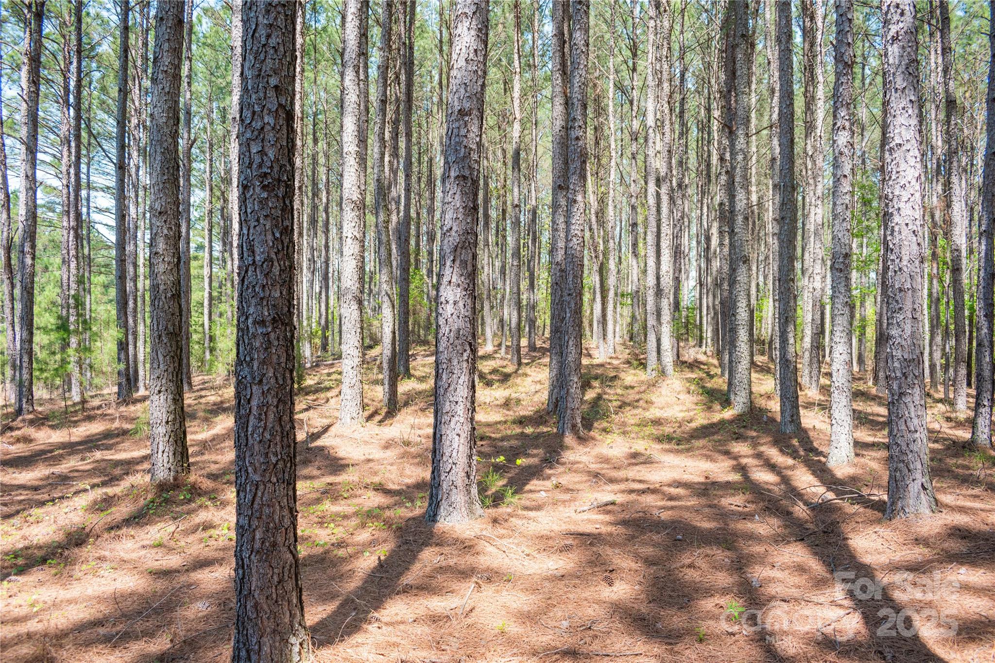 Broad River Highlands - Land