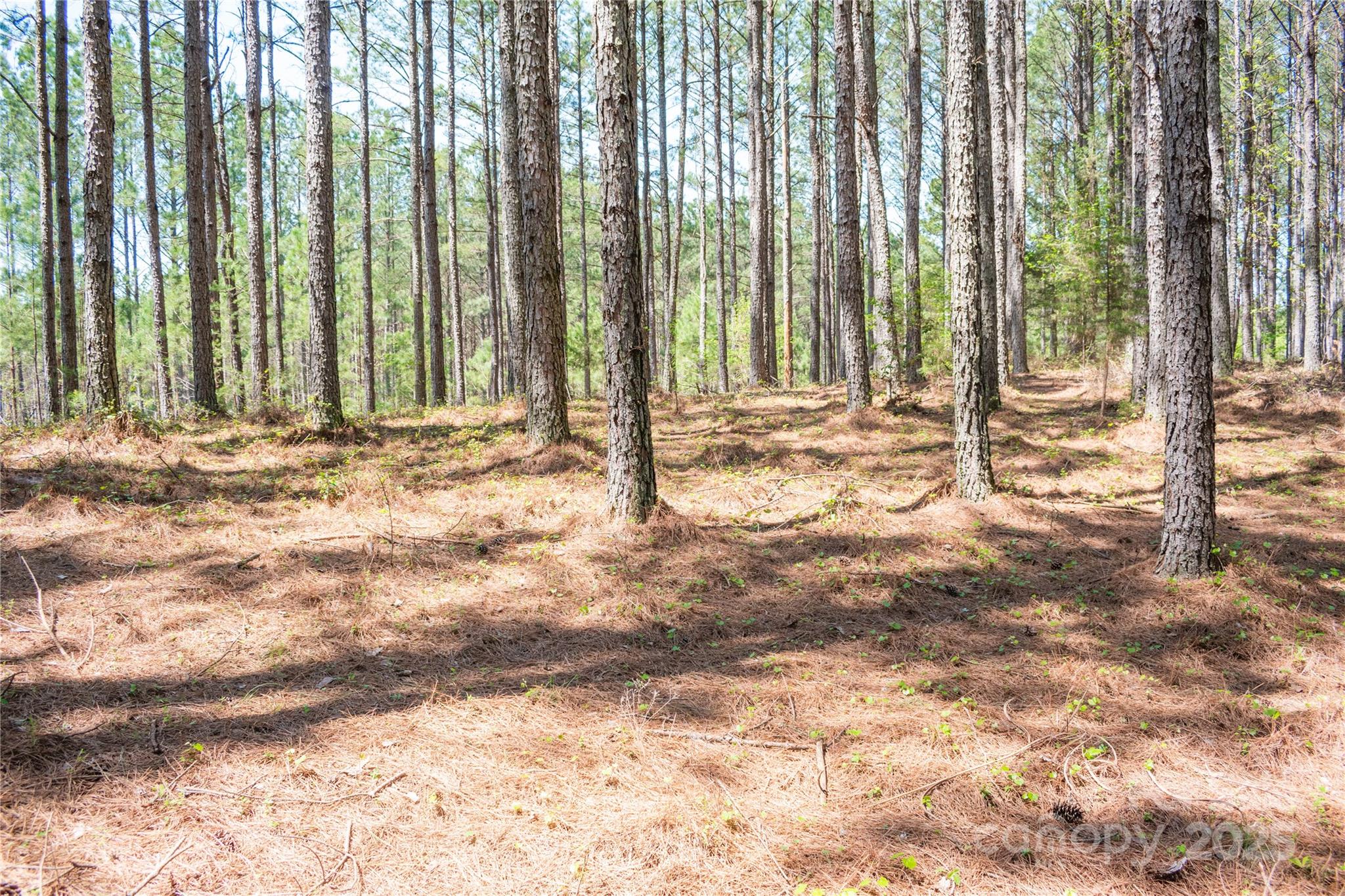 Broad River Highlands - Land