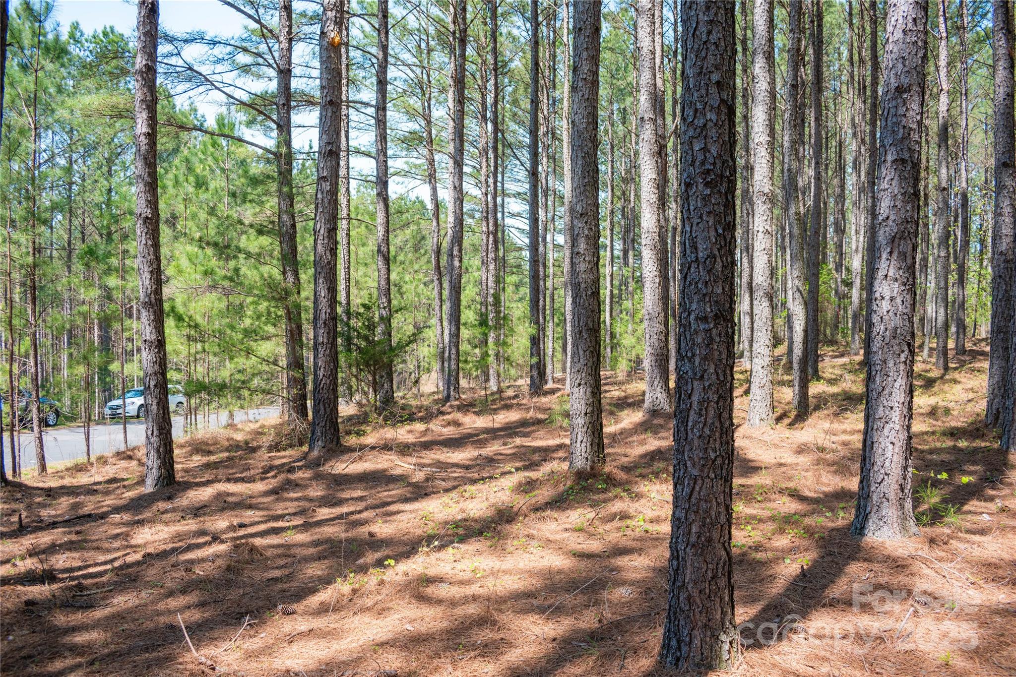 144 Whispering Pines Lane 69