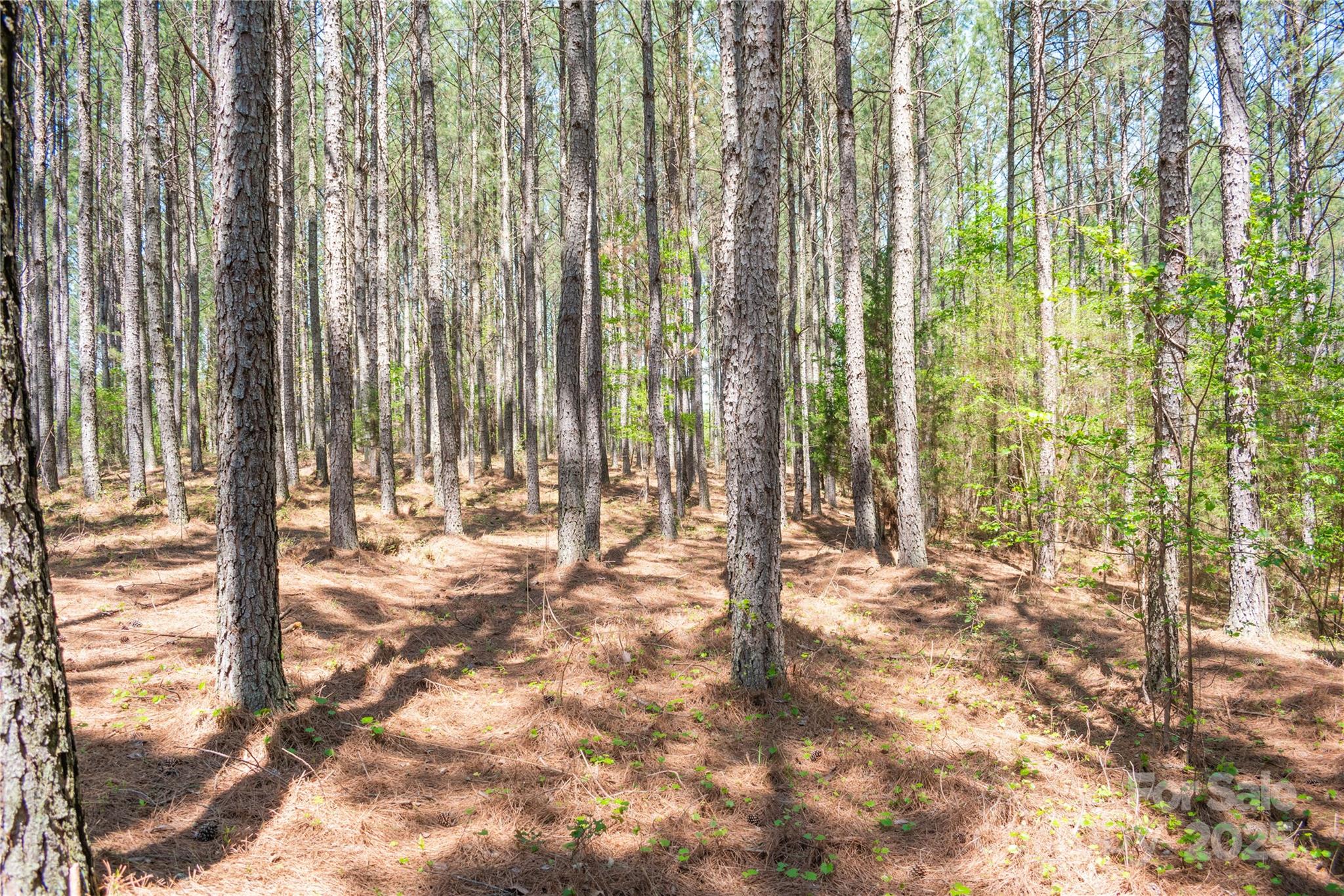 Broad River Highlands - Land