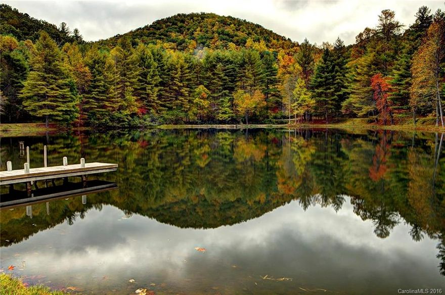 Once in a lifetime opportunity to own a tranquil refuge nestled in the Blue Ridge Mtns. This 105-acre estate consists of a small home on a 3-acre lake, pasture, waterfalls, pavilion, gazebo, tennis court, streams, and ponds.Located only 15 mins from Brevard. The park like setting creates the perfect environment for a simpler life where you can relax and reconnect with nature. 13 approved lots eight around the lake with underground utilities