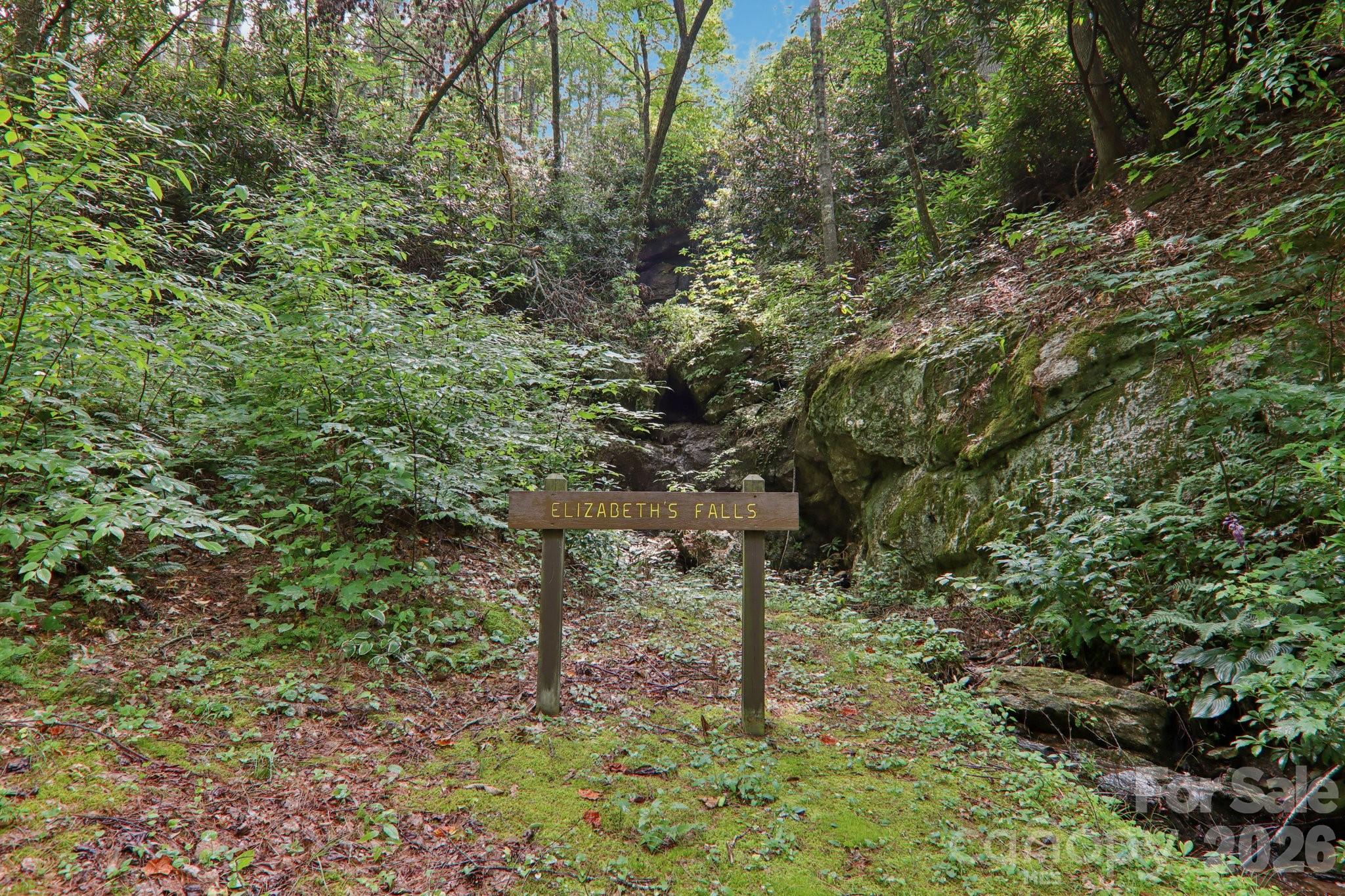 Swiss Pine Lake - Residential