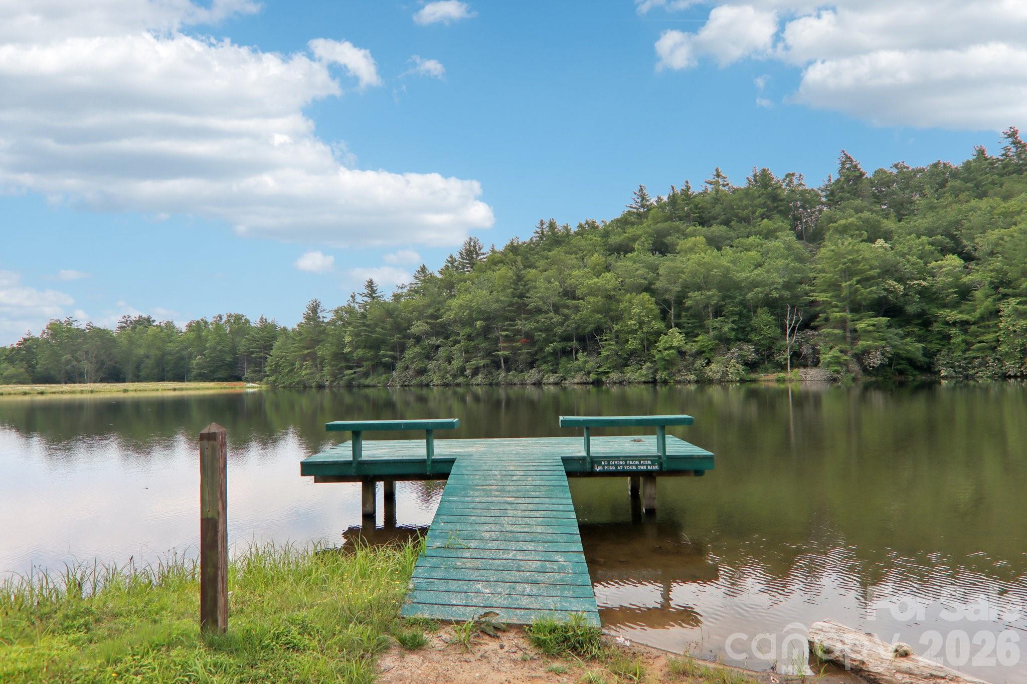 Swiss Pine Lake - Residential