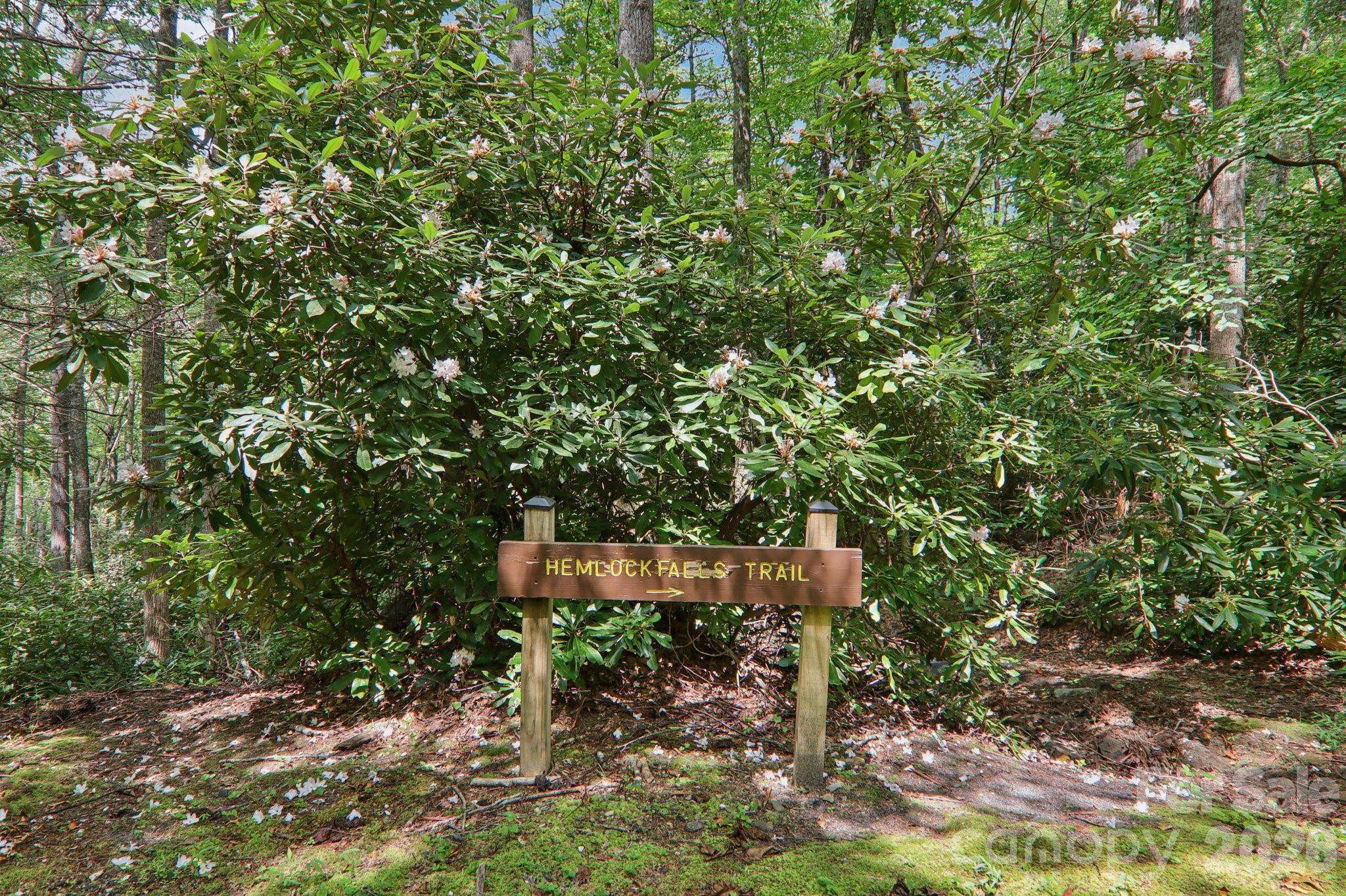 Swiss Pine Lake - Residential