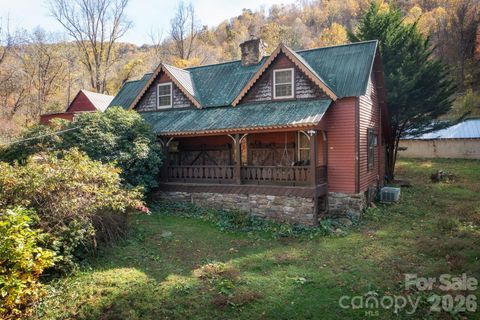 1265 Dillingham Road Barnardsville NC 28709