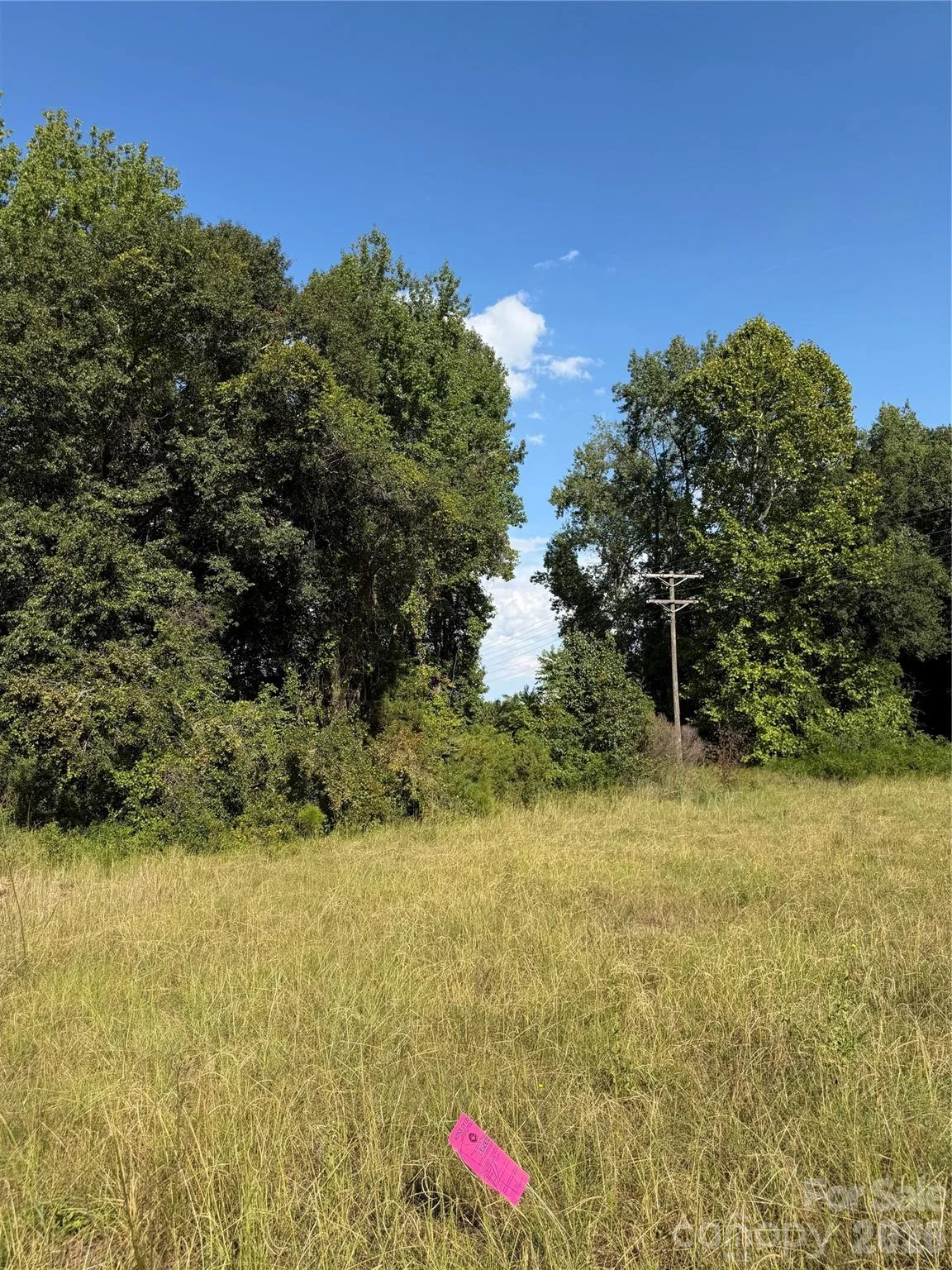 801 S Van Lingle Mungo Boulevard, Pageland, SC, 29728