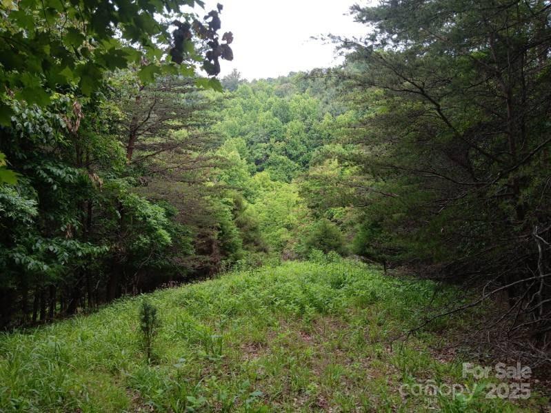 2255 NC Hwy 268 Highway W