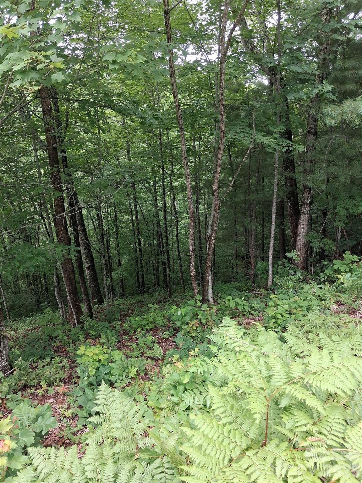 TBD Preservation Trail 47