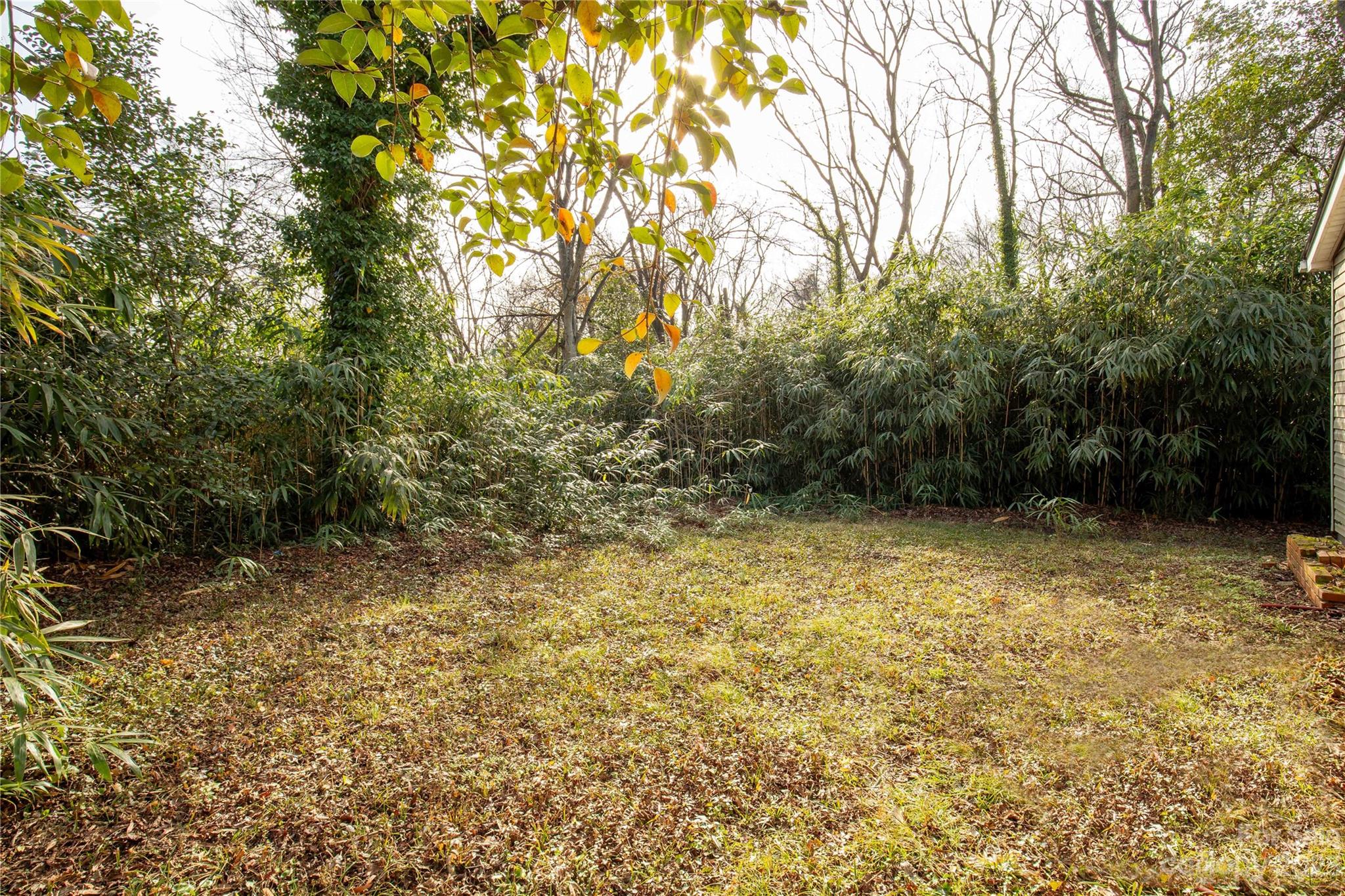 Biddle Heights - Residential