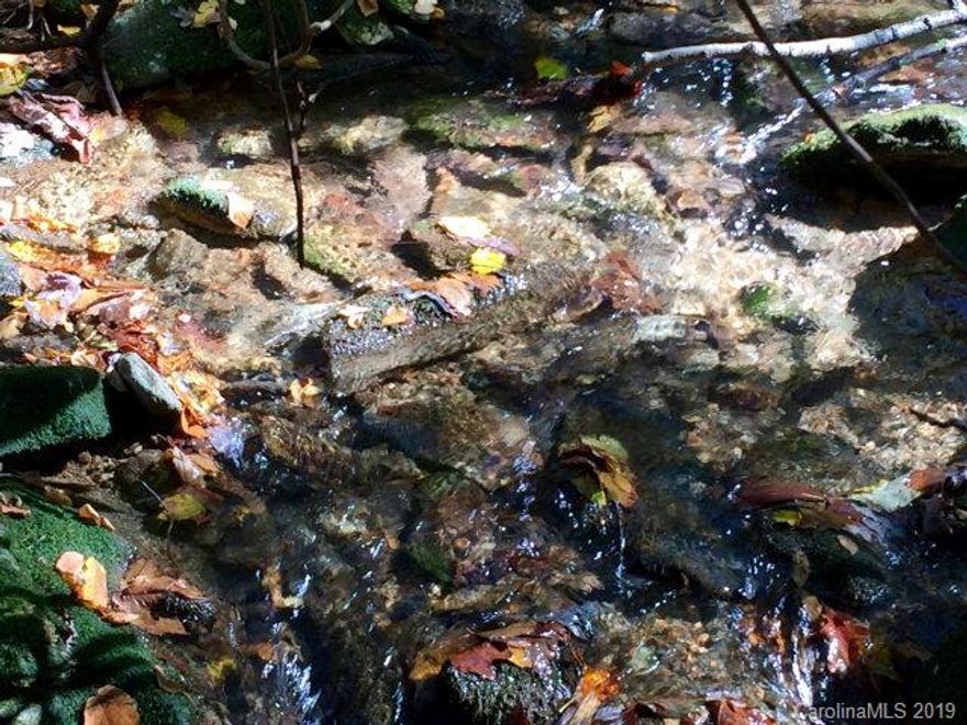 PISGAH NATIONAL FOREST AND GORGEOUS CLEAR CREEK -- Excellent oportunity to own a tract in the very desirable Clear Creek Rd area of the Pleasant Gardens community of McDowell County. This tract features wooded land that borders Clear Creek (Clear Creek runs through the land) and joins the Pisgah National Forest to the rear and side. Good short and long range mountain views are present from many vantage points. This is a must see!