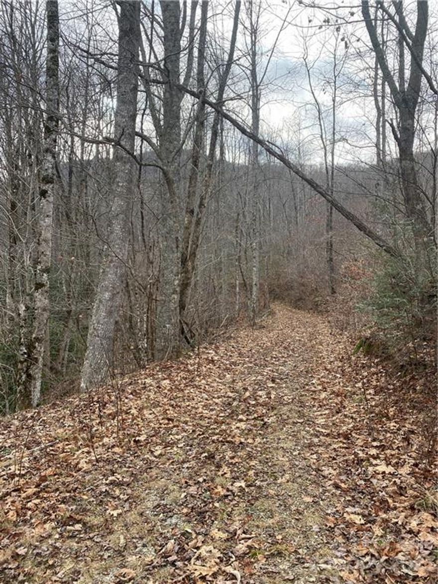 Looking for some private acreage away from it all....this one will deliver. Beautiful Rhododendron and bold streams galore and USFS for a neighbor. This would make a great family complex as well as a private estate. Located off of Cullowhee Mtn. Rd. and bordered on one side by USFS this property is open to possibilities. Elevation of property is 3500 to 4500 and old logging roads are cut in. Bold streams and great views await!!