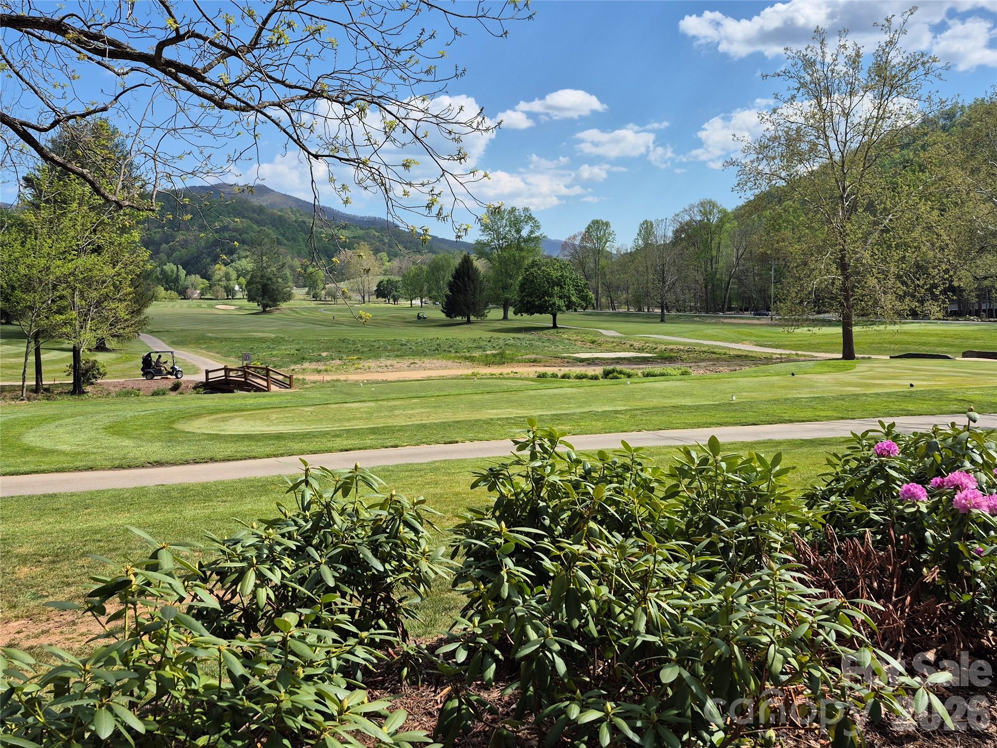 Springdale Estates - Residential