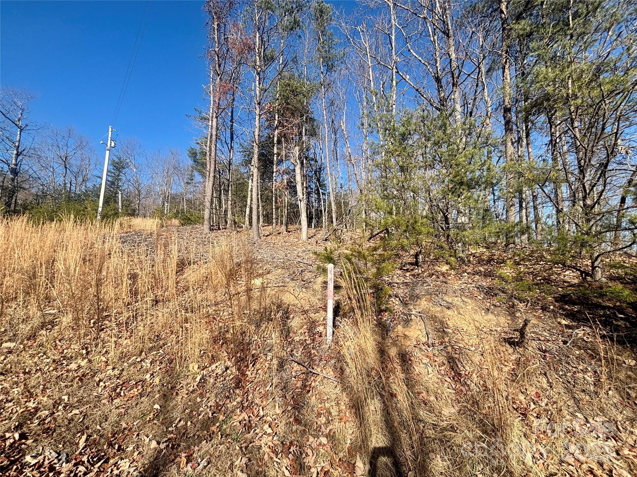 Yellowtop Mountain Estates - Land