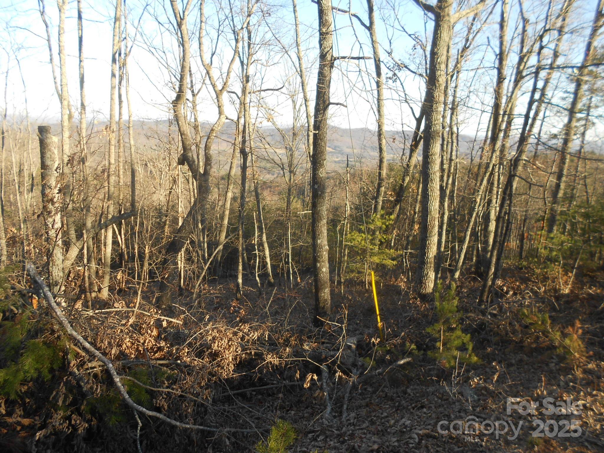 0000 Arbra Mountain Way