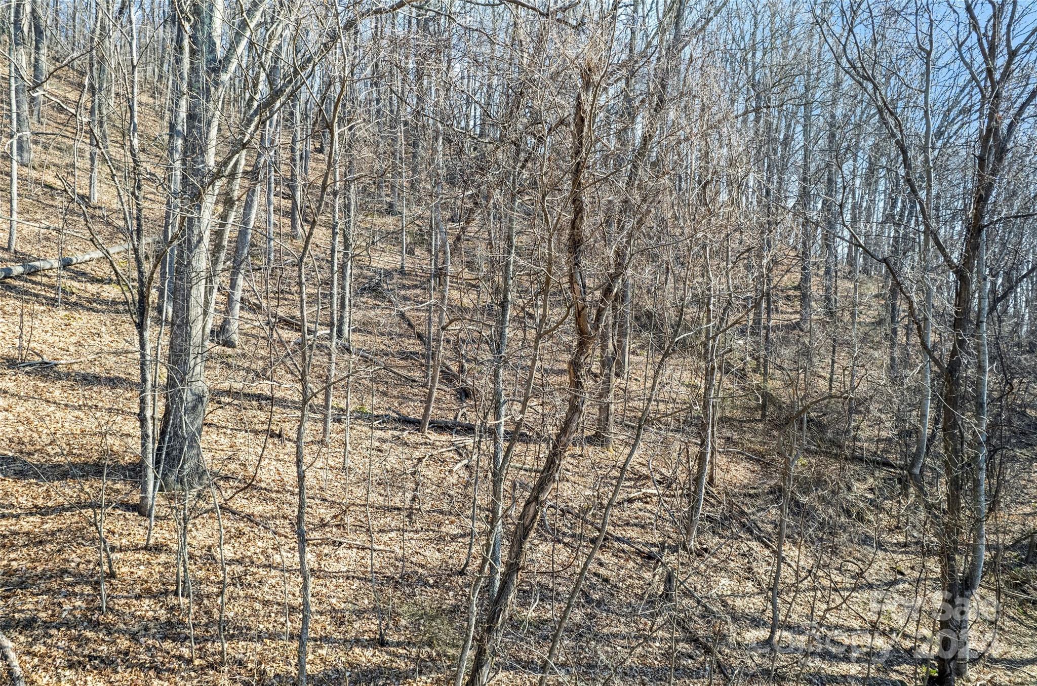 00 Purple Martin Lane