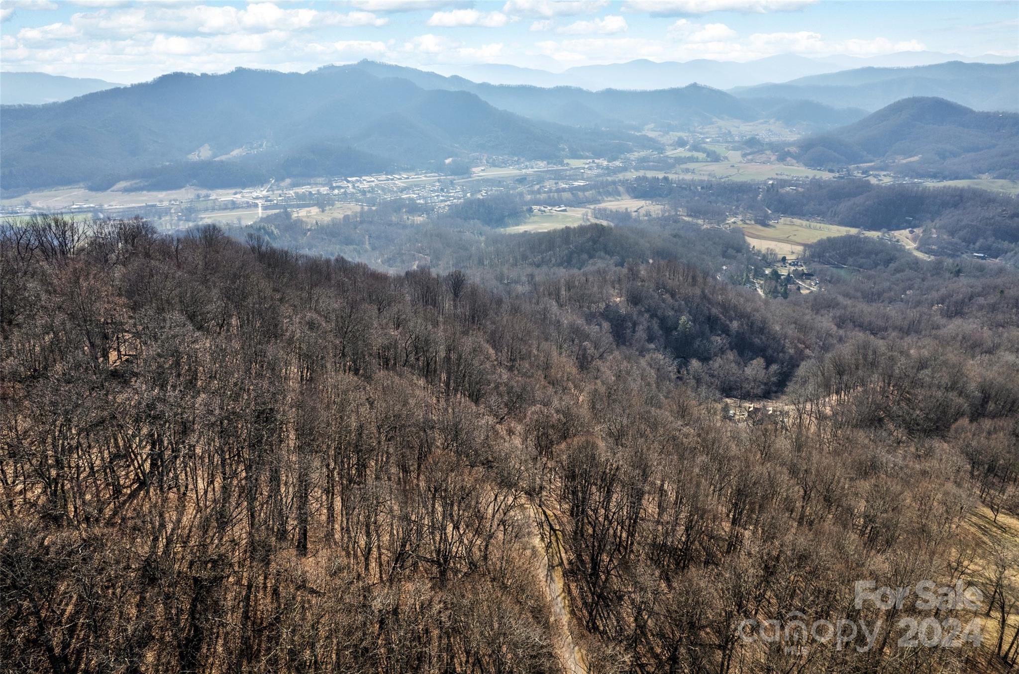 00 Purple Martin Lane