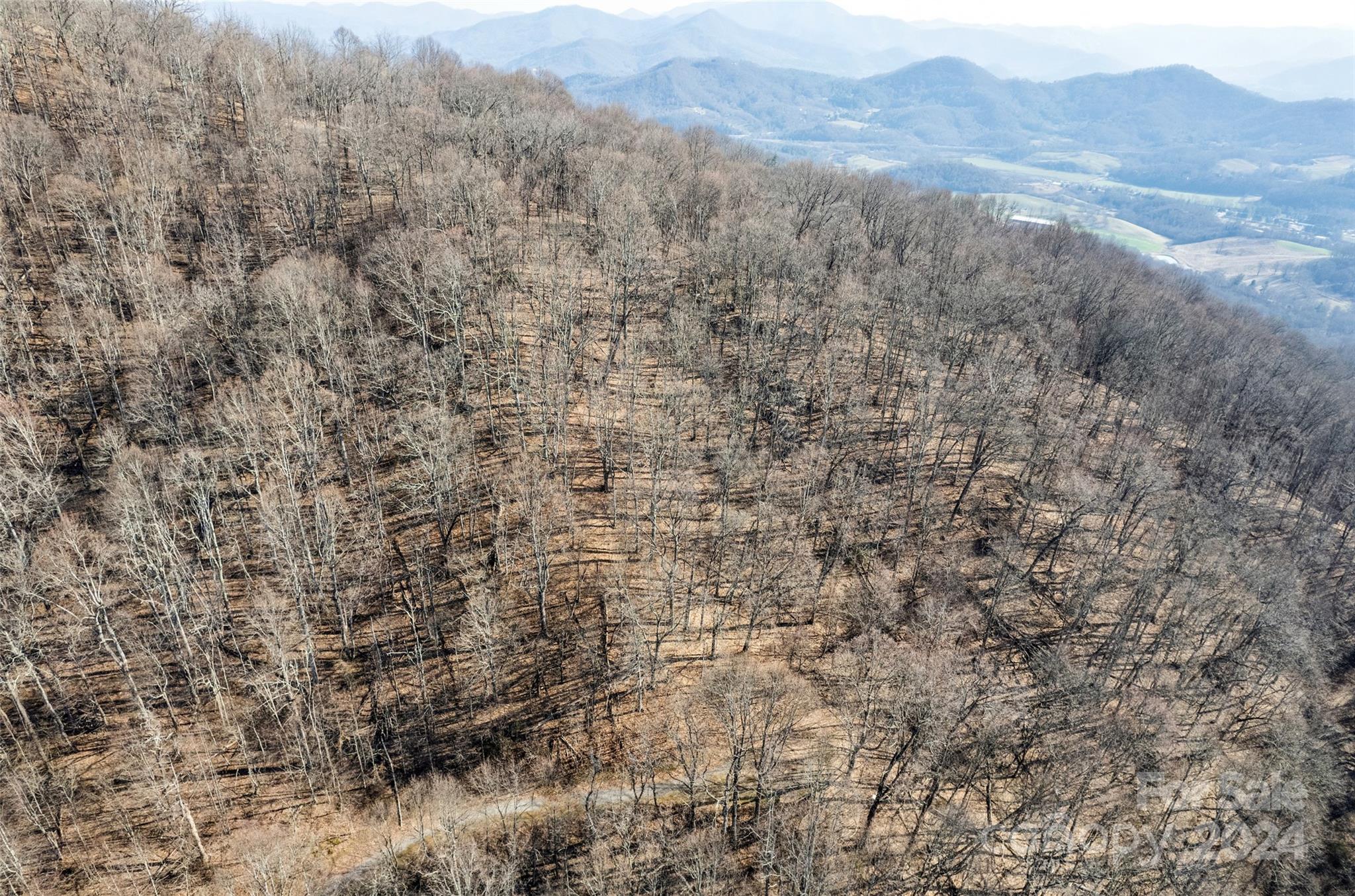 00 Purple Martin Lane