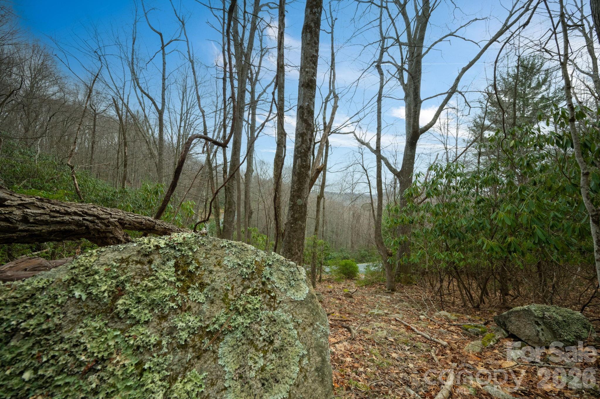 288 Poplar Drive 370