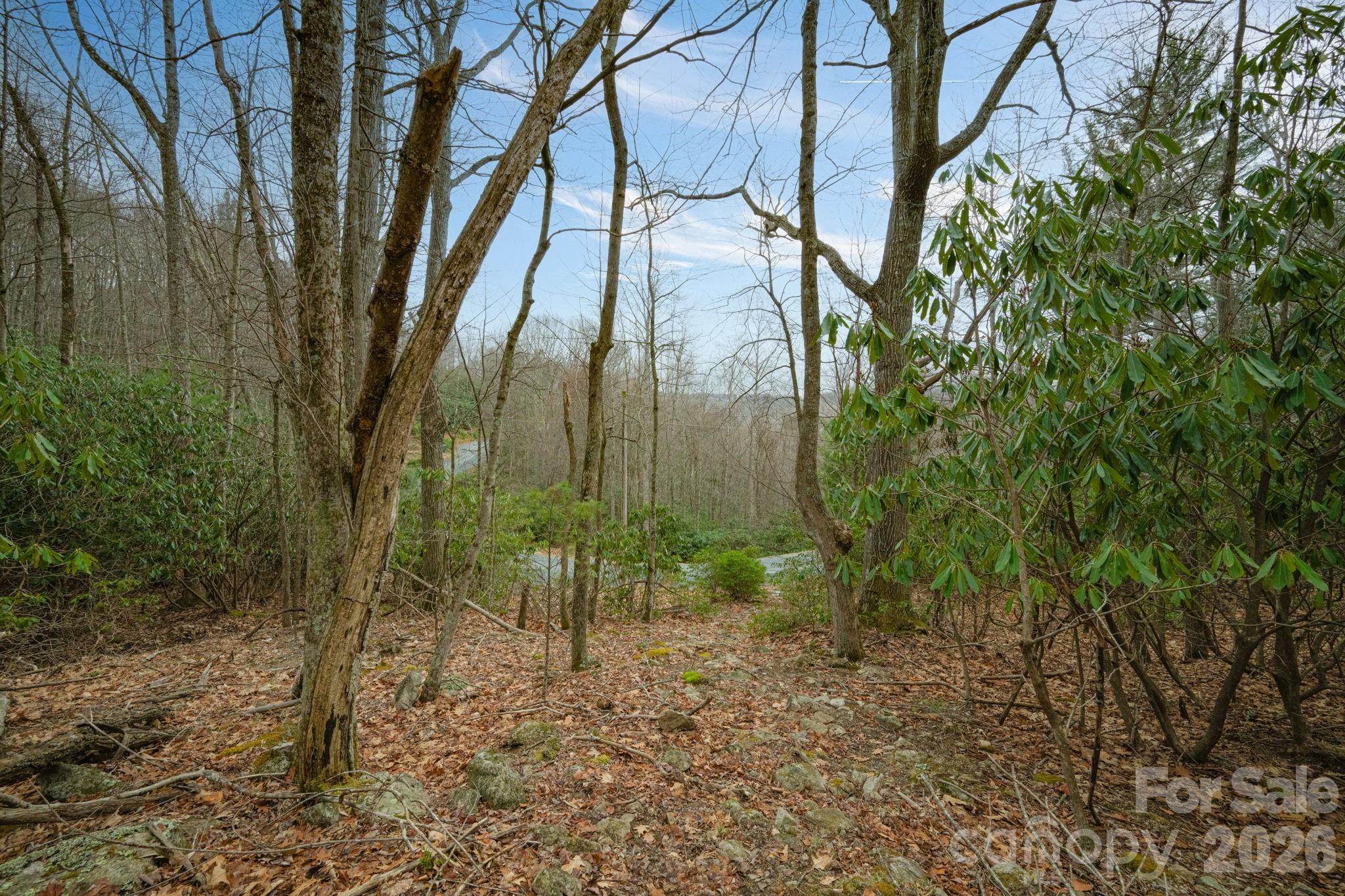 288 Poplar Drive 370