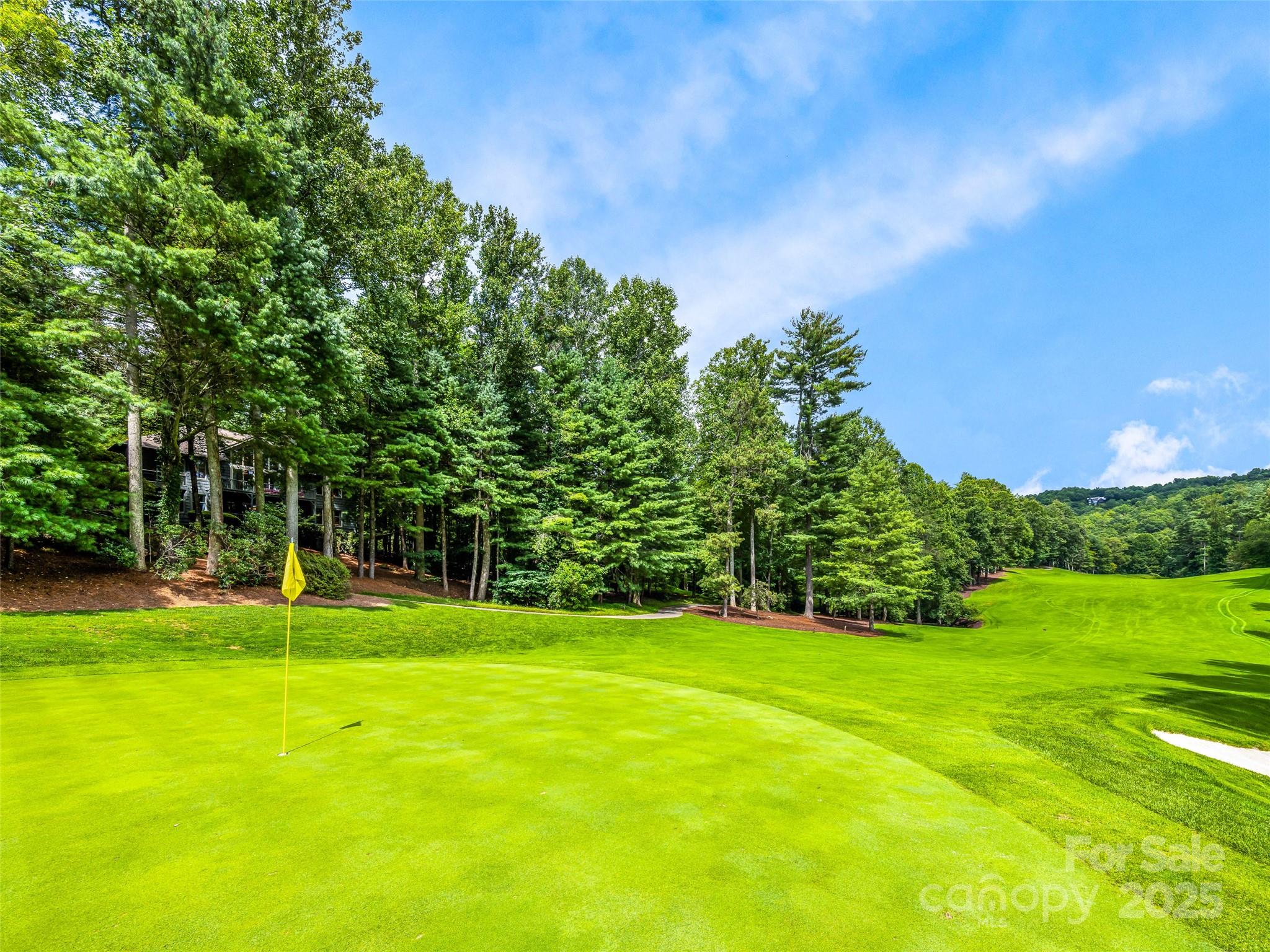 157 Chattooga Run