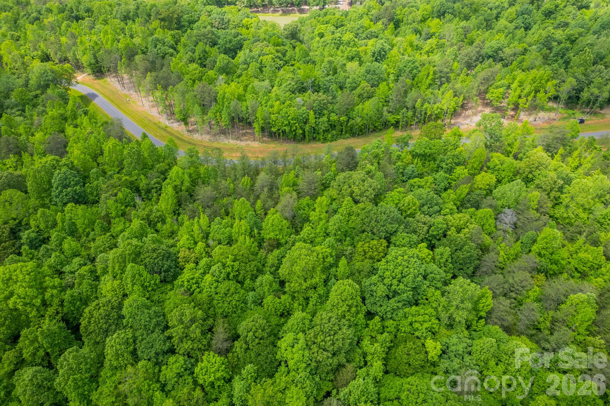 Ventosa at Catawba Springs - Land