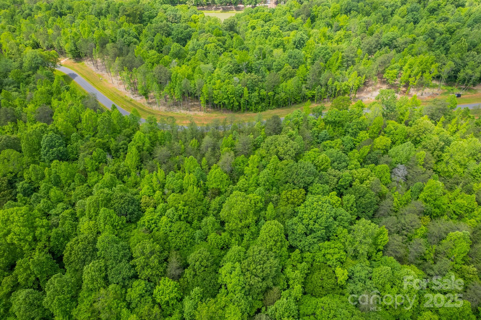 Ventosa at Catawba Springs - Land
