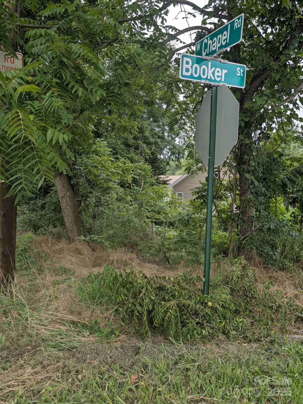 Lincoln Park Extension - Land